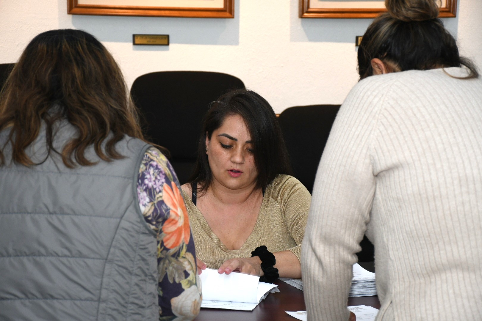 Entrega de Paquetes Electorales Seccionales, Sección VI Estancias, Obras y Mantenimiento