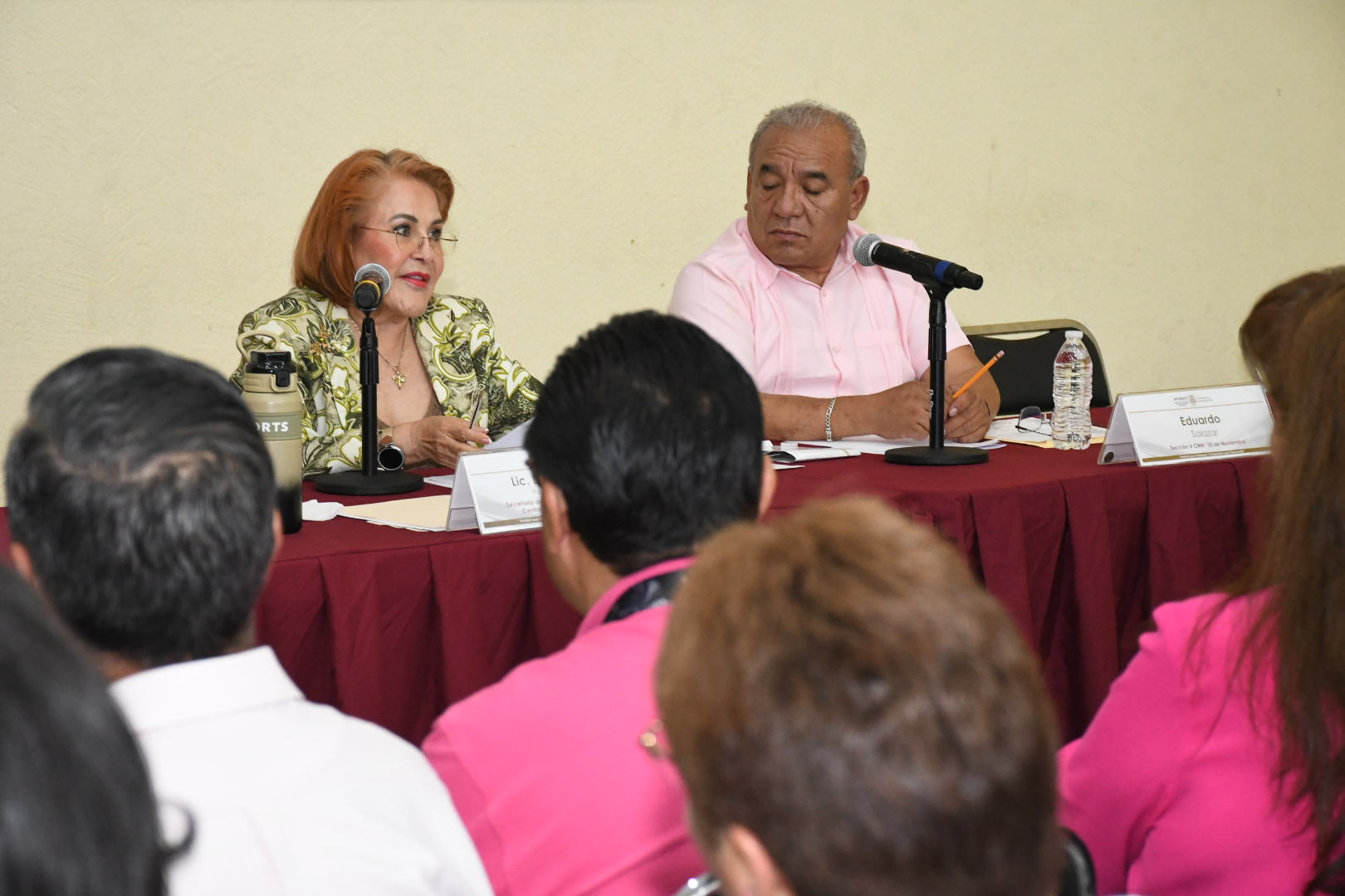 XX Congreso Seccional Ordinario Sección V, CMN “20 DE Noviembre”