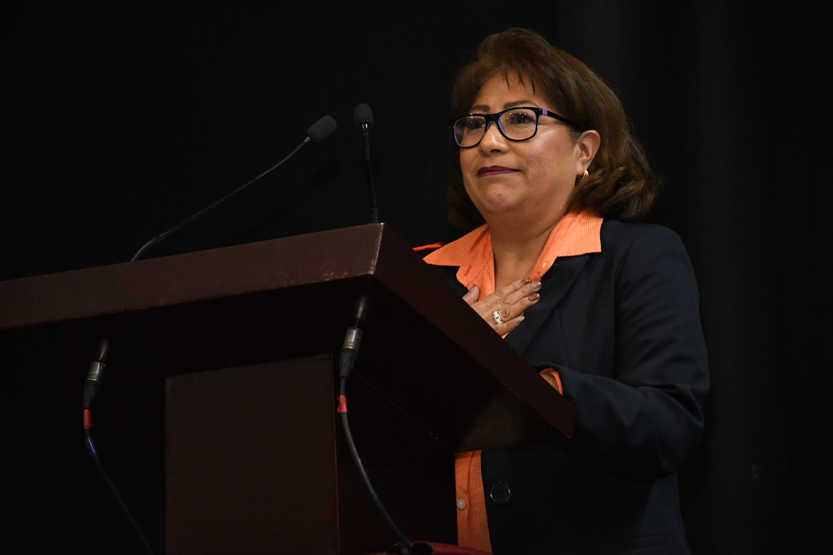 XIX Congreso Seccional Ordinario, Sección XXXVIII, HG “Dr. Gonzalo Castañeda” 