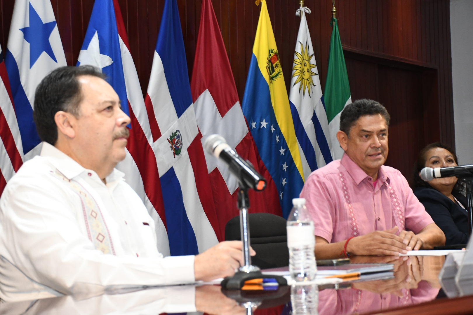 Salutación de la Sección XXXV, Veracruz