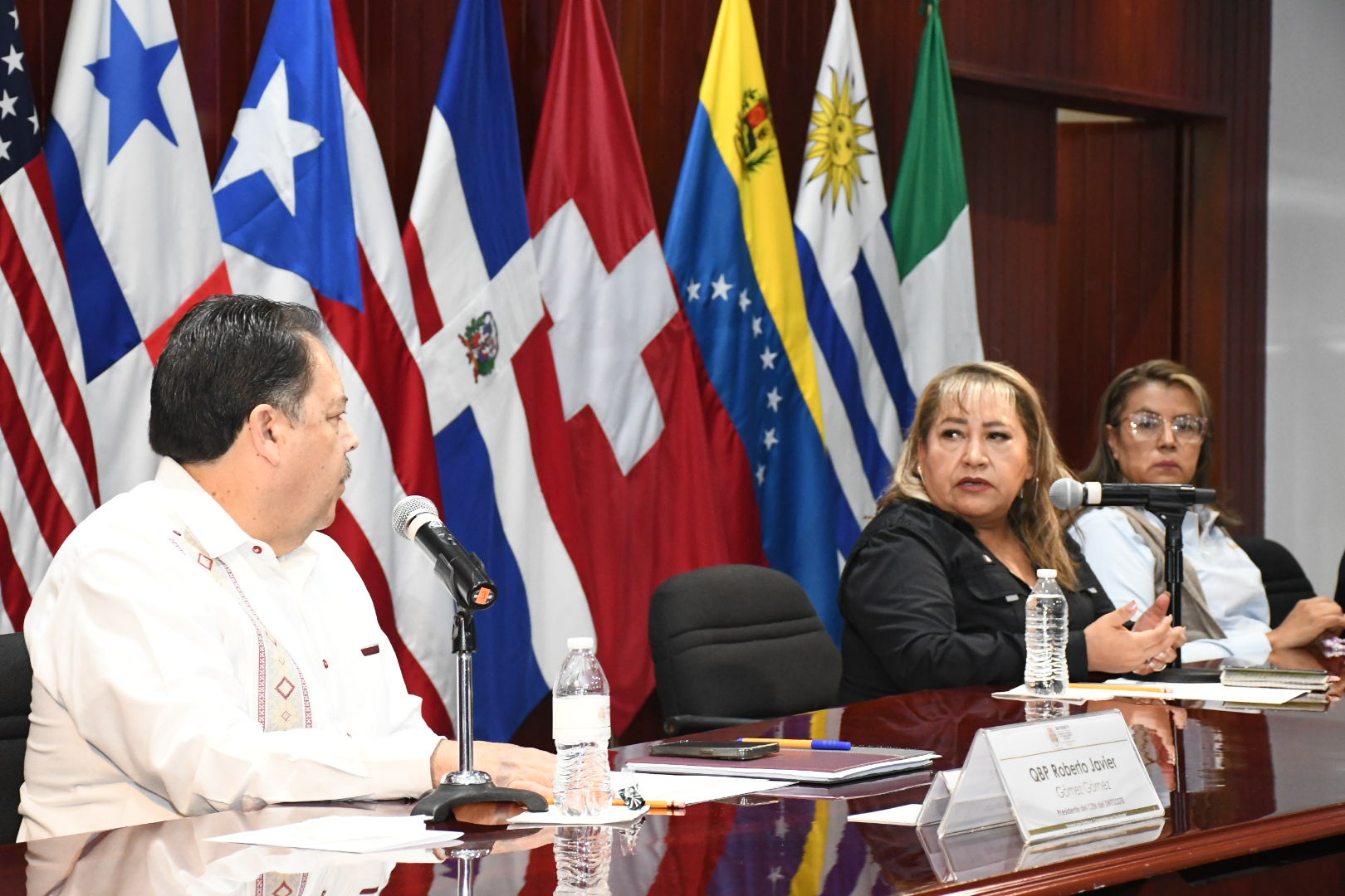 Salutación de la Sección VII, Aguascalientes