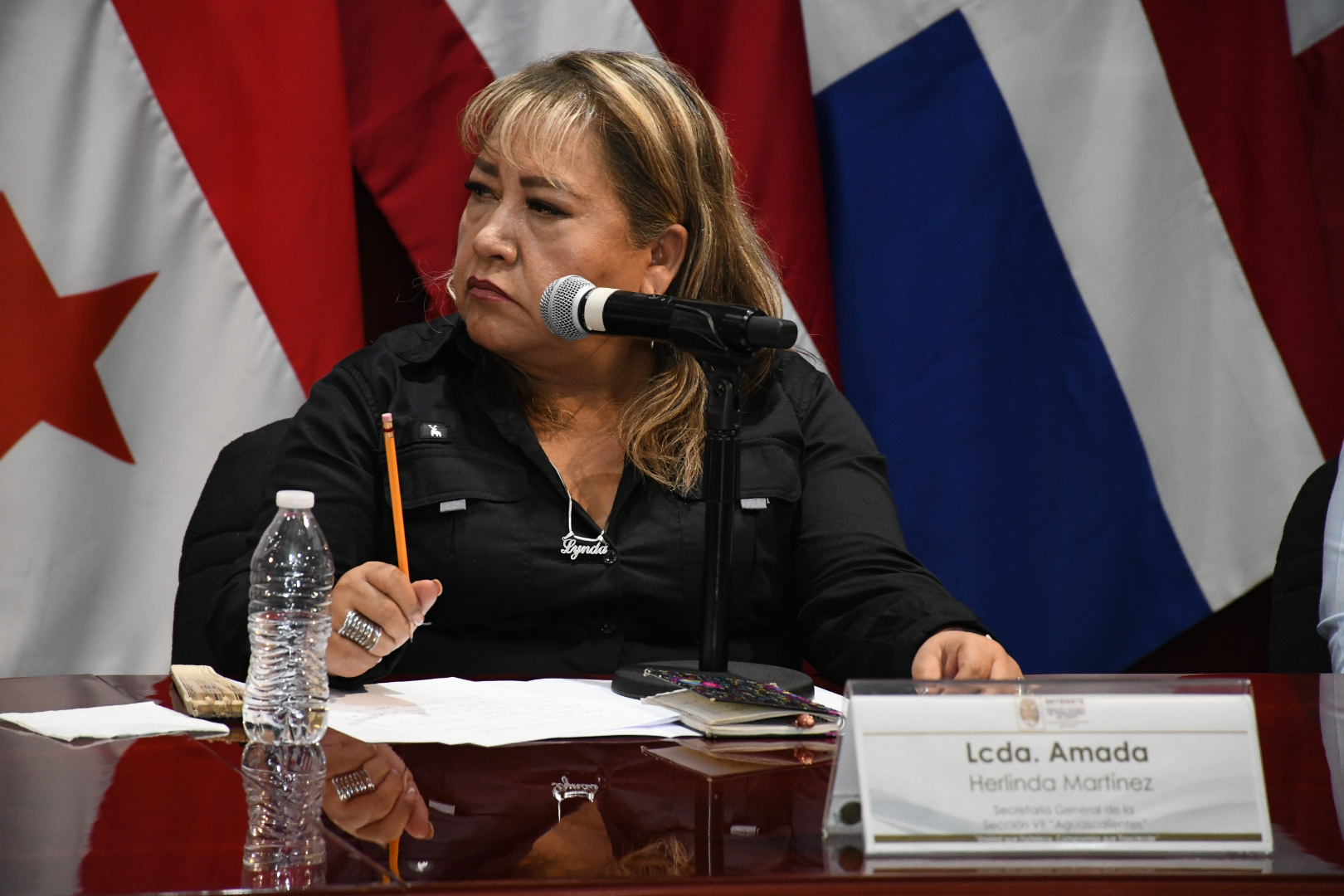 Salutación de la Sección VII, Aguascalientes