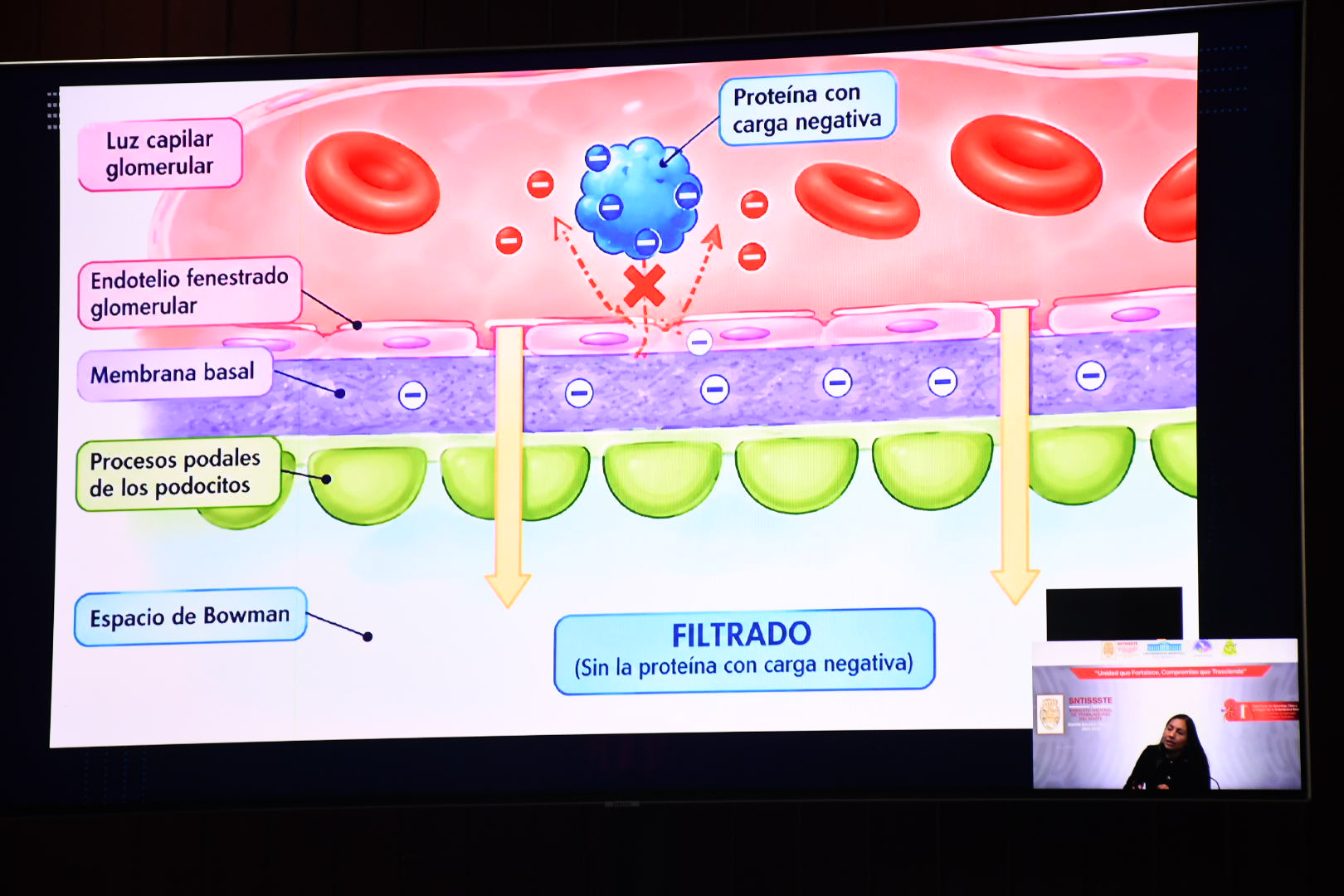  Inauguración "1er Diplomado Abordaje Clínico Enfermedad Renal"